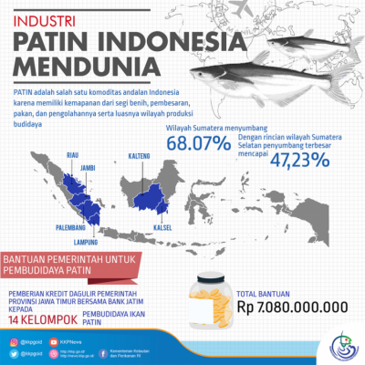 Industri Patin Indonesia Mendunia - 20180411